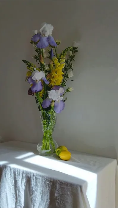 sur une table blanche se trouve un vase avec deux citrons et dans le vase se trouve un bouquet de fleurs des couleurs violet, jaune et blanc